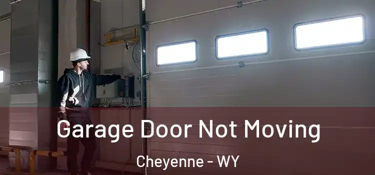  Garage Door Not Moving Cheyenne - WY