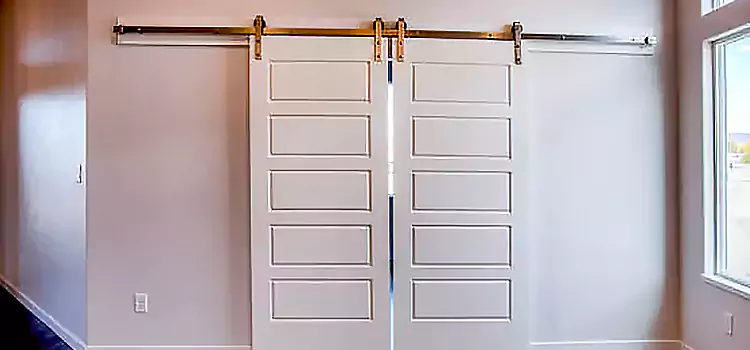 Glass Barn Door with Installation Hardware Kit Cheyenne