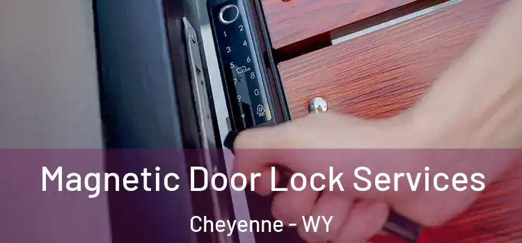 Magnetic Door Lock Services Cheyenne - WY