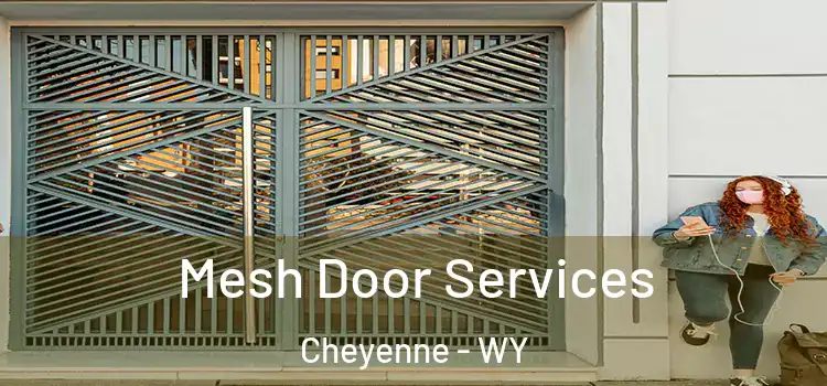 Mesh Door Services Cheyenne - WY